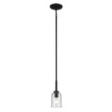 Shailene 1 Light Clear Glass Mini Pendant by Kichler - 43674C