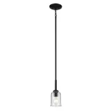 Shailene 1 Light Clear Glass Mini Pendant by Kichler - 43674C