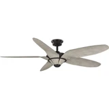 Mesilla 5 Blade Ceiling Fan 14.25 Inch Tall and 60 Inch Wide by Progress - P250073