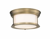 Sonna 2 Light 11 Inch Wide Steel Flush Mount by Z-Lite - 2011F10