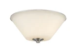 Jarra 2 Light 13 Inch Wide Flush Mount by Z-Lite - 432F2-B