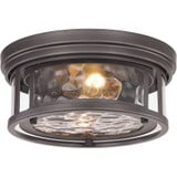 Clarion 2 Light 12 Inch Wide Flush Mount by Z-Lite - 493F2