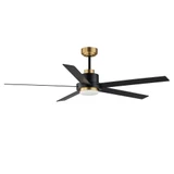 Daisy 5 Blade Ceiling Fan with Light Kit 60 Inches Wide by Maxim - 88826