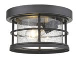 Exterior Additions 1 Light 10 Inch Wide Outdoor Flush Mount by Z-Lite - 555F
