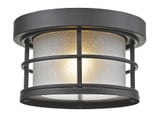 Exterior Additions One Light 10 Inch Wide Outdoor Flush Mount by Z-Lite - 556F
