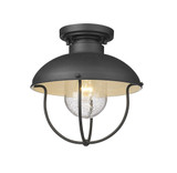 Ansel 1 Light 11 Inch Wide Outdoor Flush Mount by Z-Lite - 590F