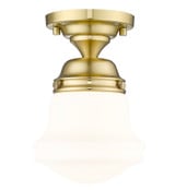Vaughn 1 Light 6 Inch Wide Flush Mount by Z-Lite - 735F1