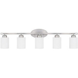 Dixon 5 Light Vanity Light by Homeplace - 115251