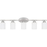 Dixon 5 Light Vanity Light by Homeplace - 115251