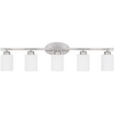 Dixon 5 Light Vanity Light by Homeplace - 115251