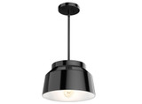 Cranbrook 1 Light Medium Pendant by Hunter Fans - 19024