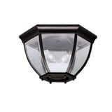 Townhouse 2 Light Mini Outdoor Ceiling Light by Kichler - 9886