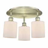 Cobbleskill 3 Light 17.75 Inch Wide Flush Mount by Innovations - 516-3C-G11