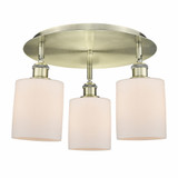 Cobbleskill 3 Light 17.75 Inch Wide Flush Mount by Innovations - 516-3C-G11