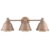 Bartlett 3 Light Vanity Light by Golden - 7312-BA3