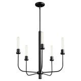 Sheridan 5 Light Medium Chandelier by Quorum - 612-5