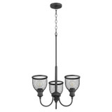Omni 3 Light Small Chandelier by Quorum - 6212-3