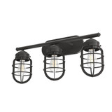 Starklake 3 Light Vanity Light by Hunter - 19051