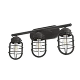 Starklake 3 Light Vanity Light by Hunter - 19051