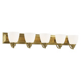 Springfield 5 Light Vanity Light by Livex - 10505