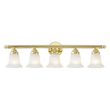 Neptune 5 Light Vanity Light by Livex - 1065