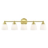 Somerville 5 Light Vanity Light by Livex - 13665