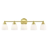 Somerville 5 Light Vanity Light by Livex - 13665