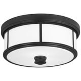 Harbour Point 2 Light 13.5 Inch Wide Flush Mount by Minka Lavery - 4365