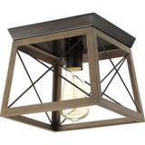 Briarwood 1 Light 9.5 Inch Wide Flush Mount by Progress - P350022