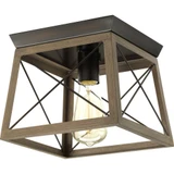 Briarwood 1 Light 9.5 Inch Wide Flush Mount by Progress - P350022