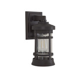 Resilience 1 Light Outdoor Wall Lantern 13 Inch Tall by Craftmade - ZA2304-C