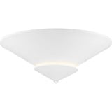 Pinellas 4 Light 25 Inch Wide Flush Mount by Progress - P350270