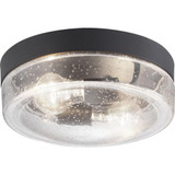 Weldon 2 Light 10.75 Inch Wide Outdoor Flush Mount by Progress - P550042