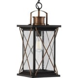 Barlowe 1 Light 9 Inch Wide Outdoor Flush Mount by Progress - P550068