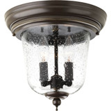 Ashmore 2 Light 10.5 Inch Wide Outdoor Flush Mount by Progress - P5562