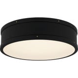 Ahoy Light 16 Inch Wide Flush Mount by Quoizel - QFL5224