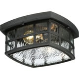Stonington 2 Light 12 Inch Wide Flush Mount by Quoizel - SNN1612