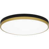 Weldin 35W 1 LED 20 Inch Wide Flush Mount by Quoizel - WLN1620