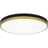 Weldin 35W 1 LED 20 Inch Wide Flush Mount by Quoizel - WLN1620