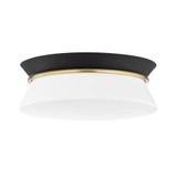Cath 2 Light 12.75 Inch Wide Flush Mount by Mitzi - H425502
