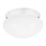 Webster 1 Light 8 Inch Wide Flush Mount by Generation - 5326