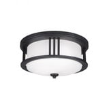 Crowell 2 Light 14.06 Inch Wide Outdoor Flush Mount by Generation - 7847902