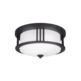 Crowell 2 Light 14.06 Inch Wide Outdoor Flush Mount by Generation - 7847902