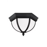 Wynfield 2 Light 12.75 Inch Wide Outdoor Flush Mount by Generation - 79136