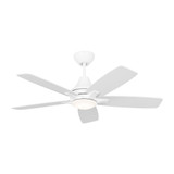 Lowden 5 Blade Ceiling Fan with Light Kit 44 Inch Wide Generation - 5LWDR44