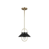 Dormer 1 Light Small Pendant by Generation - 6001101-10510