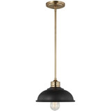 Dustin 1 Light Small Pendant by Generation - 6001601-61310