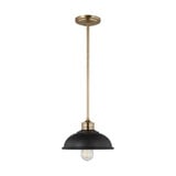 Dustin 1 Light Small Pendant by Generation - 6001601-61310