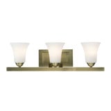 Ridgedale 3 Light Vanity Light by Livex - 6493