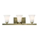 Ridgedale 3 Light Vanity Light by Livex - 6493